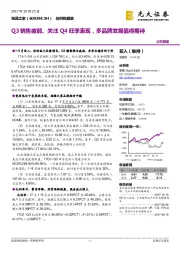 Q3销售疲弱、关注Q4旺季表现，多品牌发展值得期待