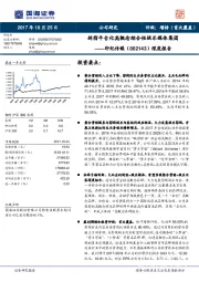 深度报告：剑指平台化高概念综合性娱乐媒体集团