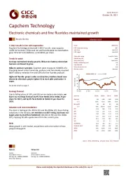 Electronic chemicals and fine fluorides maintained growth