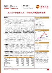 龙头公司逆流而上、份额及结构提升延续