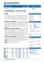 Q3业绩增长显著，订单充足全年可期