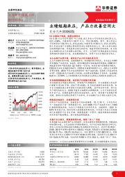 业绩短期承压,产品力改善空间大
