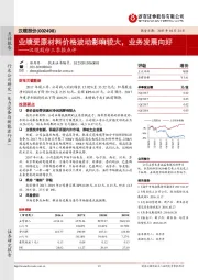 汉缆股份三季报点评：业绩受原材料价格波动影响较大，业务发展向好