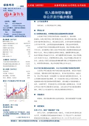 收入维持较快增速 非公开发行稳步推进