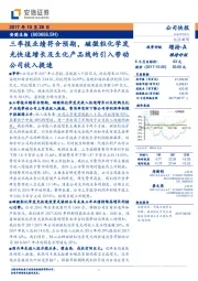 三季报业绩符合预期，磁微粒化学发光快速增长及生化产品线的引入带动公司收入提速