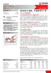 Q3略低于预期，长期前景仍广阔