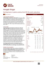 Earnings beat on upside surprises from PVC & caustic soda prices