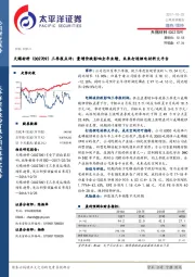 三季报点评：量增价跌影响全年业绩，未来打造锂电材料大平台