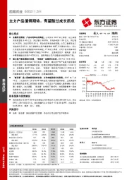 主力产品值得期待，有望踏过成长拐点