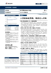 2017年三季报点评：三季报略超预期，维持买入评级