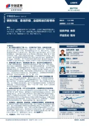 销售快增、拿地积极，业绩释放仍需等待