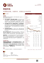 短期增速放缓,估值承压,长期关注云安全需求