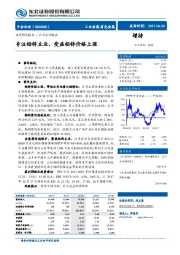 公司点评报告：专注铅锌主业，受益铅锌价格上涨