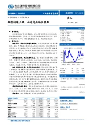 铜价持续上涨，公司龙头地位明显