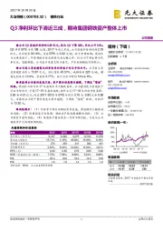 Q3净利环比下滑近三成，期待集团钢铁资产整体上市