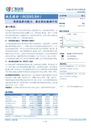 保持高盈利能力，推出股权激励计划