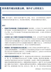财务费用增加拖累业绩,海外矿山即将发力