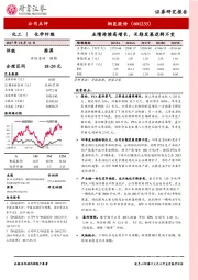 业绩持续高增长，长期发展逻辑不变