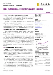 童装、电商持续增长,Q4加大投入及去库存、业绩承压