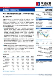 内生+外延双轮驱动效应显著，2017年前三季度收入增长73%