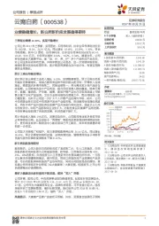 季报点评：业绩稳健增长，新白药新阶段发展值得期待