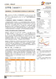 业绩持续低迷，库存改善及渠道优化有望带动全年业绩良性恢复