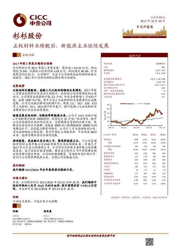 正极材料业绩靓丽，新能源主业继续发展