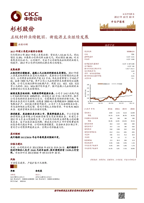正极材料业绩靓丽，新能源主业继续发展