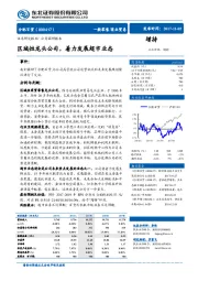 区域性龙头公司，着力发展超市业态