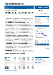 多重因素拉低业绩，全产业链布局开拓增长点