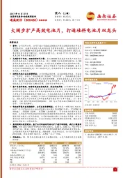 大阔步扩产高效电池片，打造硅料电池片双龙头