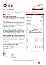 Steady revenue growth; gross profit margin under short-term pressure
