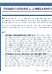 背膜业务助力公司业绩腾飞，定增获批加速高效电池兑现