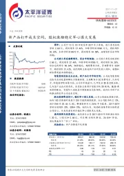 新产品打开成长空间，股权激励稳定军心谋大发展