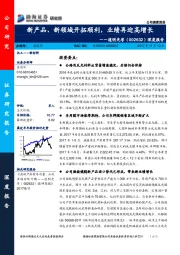 深度报告：新产品、新领域开拓顺利，业绩再迎高增长