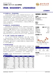 草甘膦、有机硅持续景气,公司迎来经营拐点