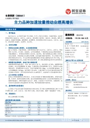 主力品种加速放量推动业绩高增长