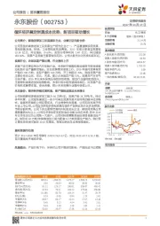 循环经济奠定炭黑成本优势，新项目驱动增长