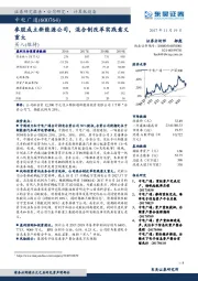 参股成立新能源公司，混合制改革实践意义重大