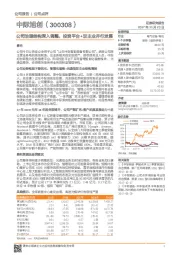 公司治理结构深入调整, 投资平台+双主业并行发展
