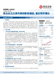 新品延迟及费用摊销影响增速，看好明年增长