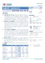 完善产业链，助力一带一路