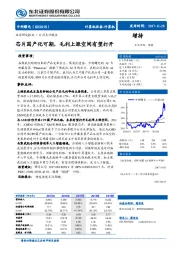 芯片国产化可期，毛利上涨空间有望打开