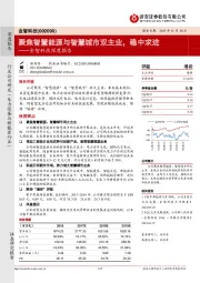 金智科技深度报告：聚焦智慧能源与智慧城市双主业，稳中求进