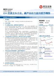 EVA胶膜龙头企业，新产品助力盈利能力增强
