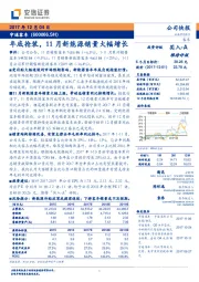 年底抢装，11月新能源销量大幅增长