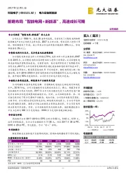 前瞻布局“智能电网+新能源”，高速成长可期