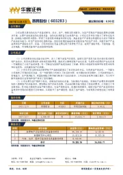 新股询价报告：赛腾股份