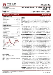 公司点评报告:烟气治理龙头企业,员工持股完成购买绑定利益一致