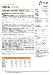拟联合收购境外优质盐湖资产,新锂业巨头或诞生